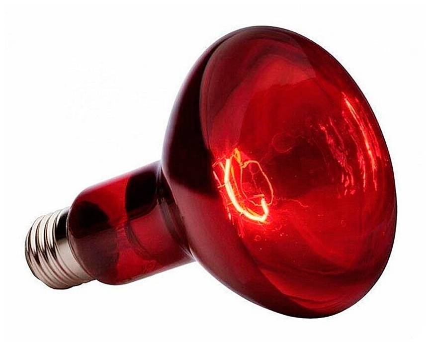 Бытовые инфракрасные лампы: как выбрать ИК лампочку + обзор лучших производителей