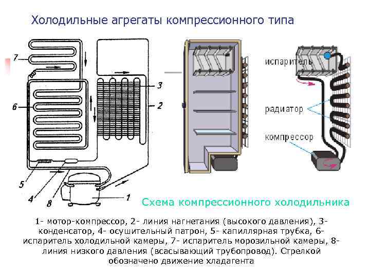 Принцип работы холодильника: устройство и схема