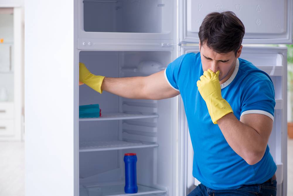 Плесень в холодильнике: как избавиться, чем обработать, средства, способы