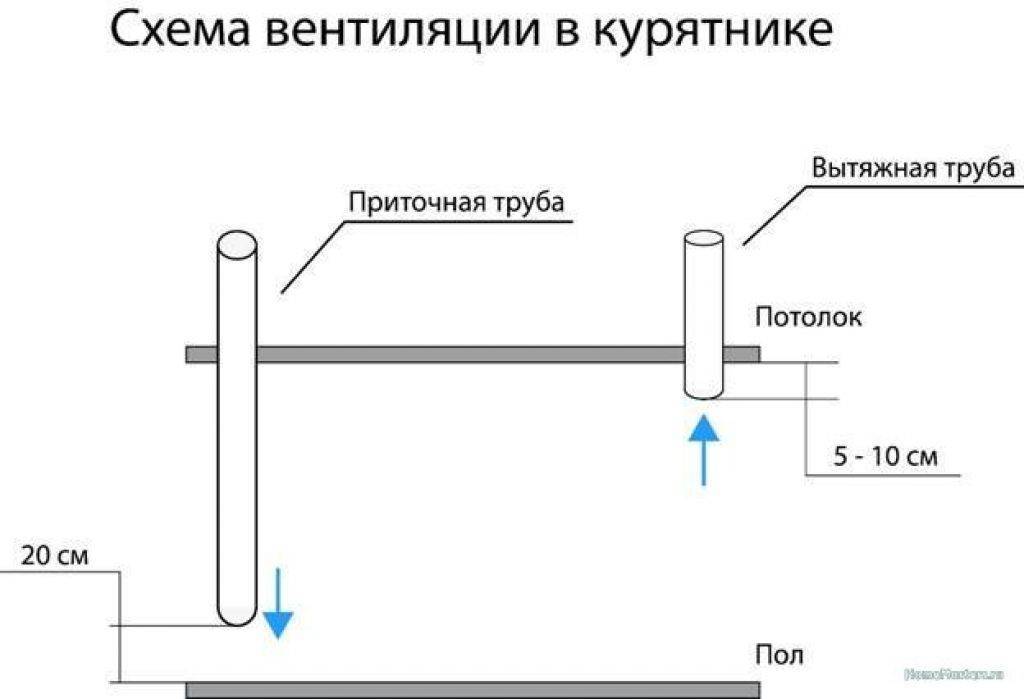 Вентиляция в курятнике зимой своими руками: обзор лучших схем и нюансов обустройства