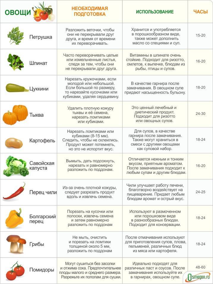 Как выбрать овощесушилку: критерии правильной покупки