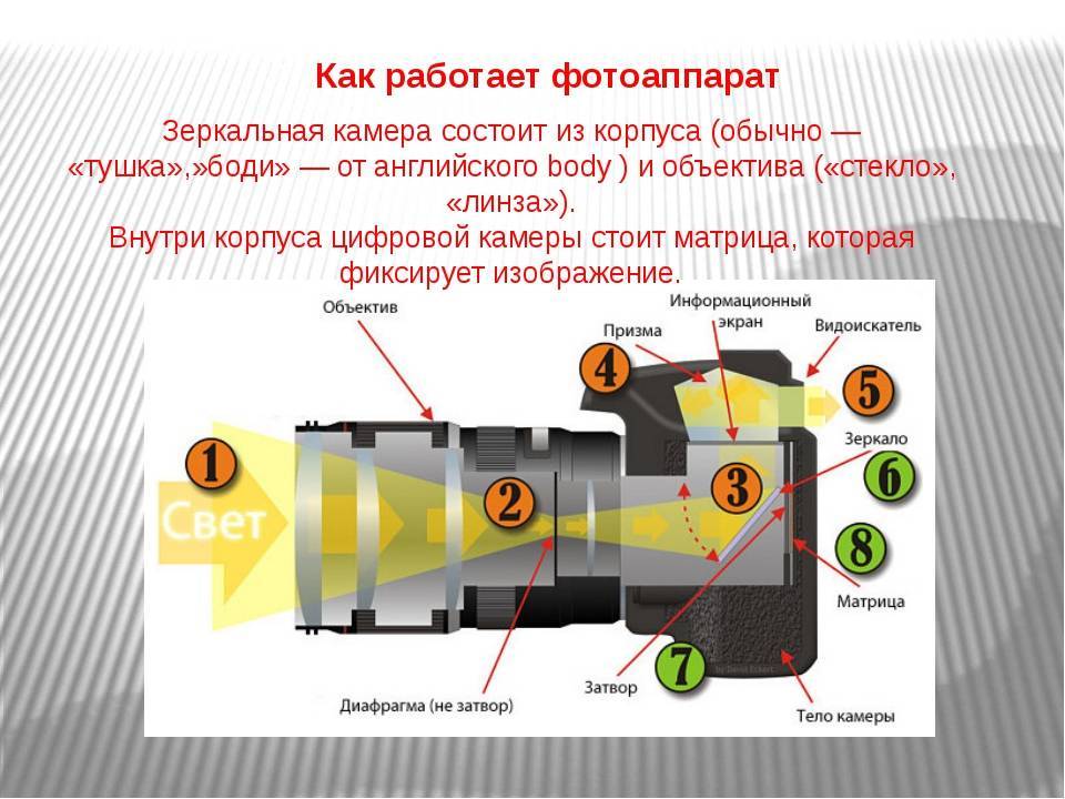 Схема устройства цифрового фотоаппарата