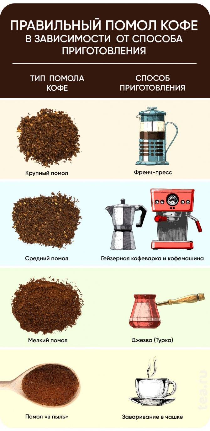Что можно молоть в кофемолке кроме кофе