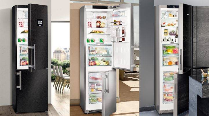 Какой холодильник liebherr лучше выбрать? (видео)