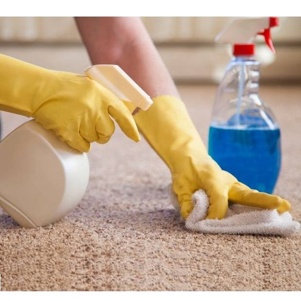Как почистить палас в домашних условиях быстро и эффективно
