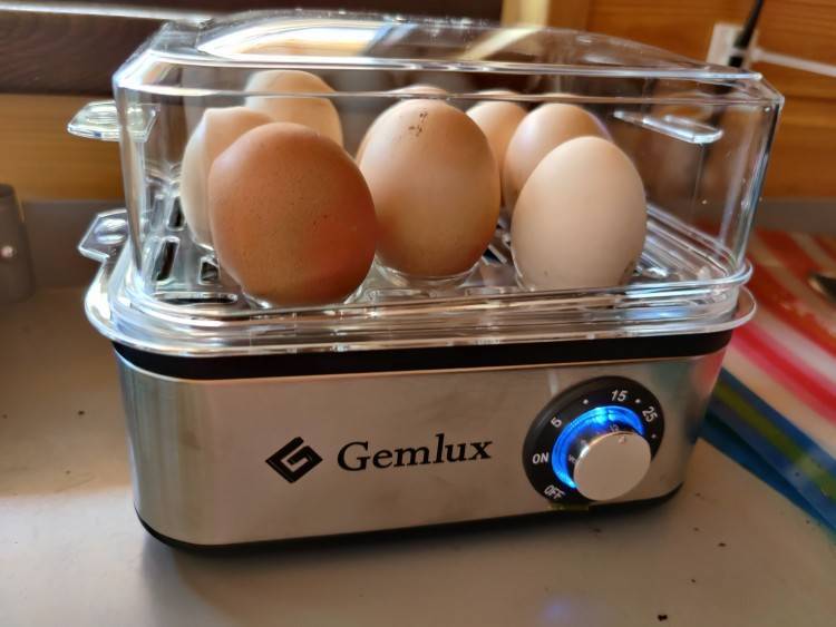 Электрическая яйцеварка: зачем нужна, инструкция по использованию, рейтинг лучших, отзывы