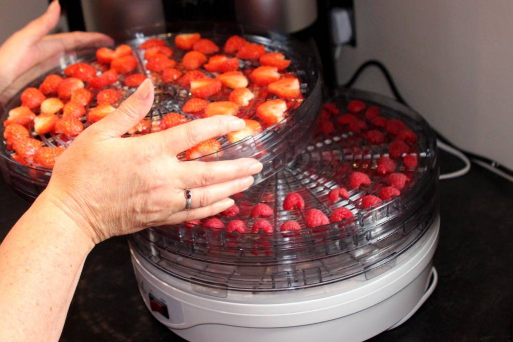 Как сушить ягоды в духовке, правильная сушка в домашних условиях для чая