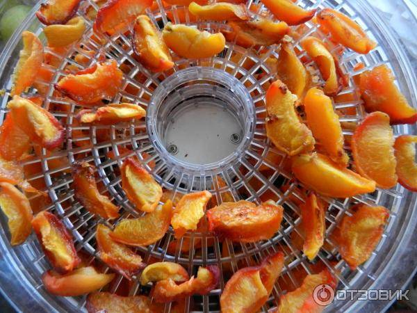 Как сушить малину в электросушилке: температура и время, чтобы правильно посушить ягоды и листья в сушилке для овощей