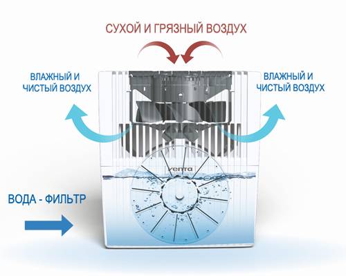 Как выбрать увлажнитель воздуха: обзоры: бытовая техника — ferra.ru