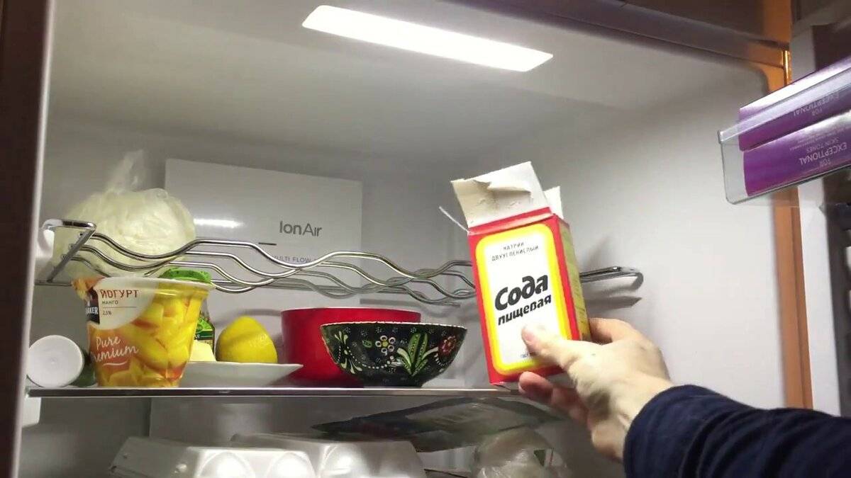 Как быстро избавиться от плесени в холодильнике своими руками в домашних условиях: что делать, как избавиться народными средствами, полезные советы