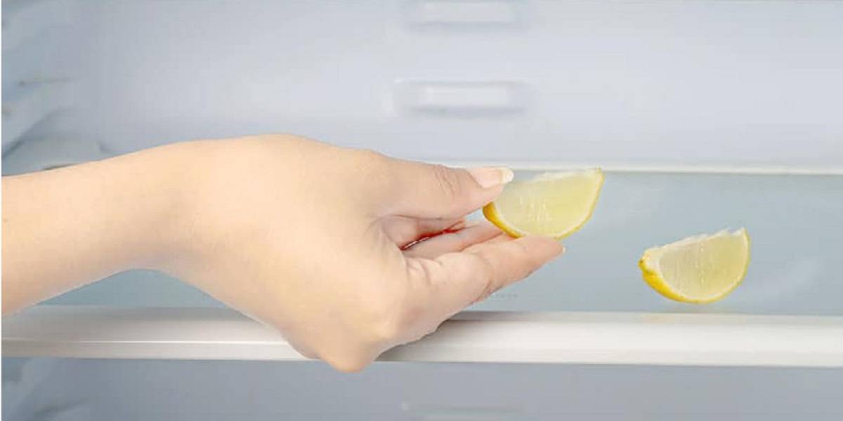 Как убрать запах в холодильнике в домашних условиях