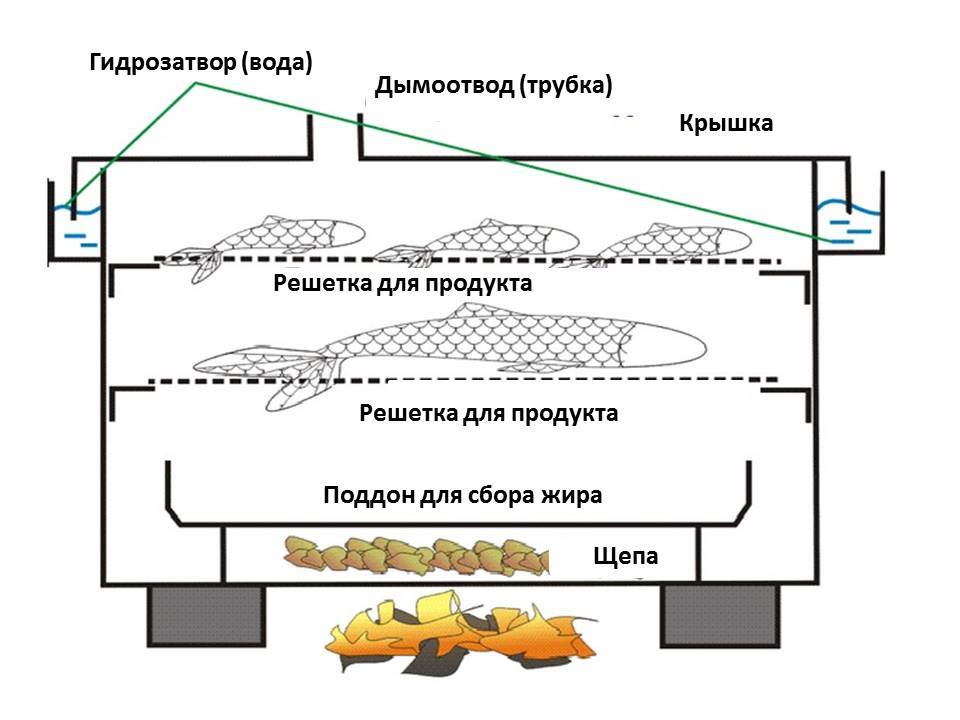 Чертеж коптильни горячего