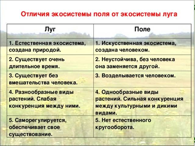 Гомогенный и гетерогенный линолеум. в чем отличие