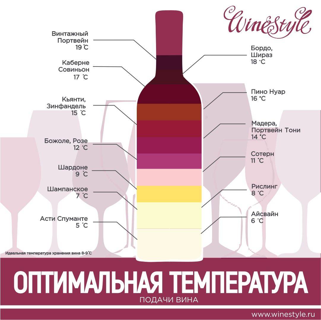 При какой температуре хранить вино в бутылках: дома, в погребе