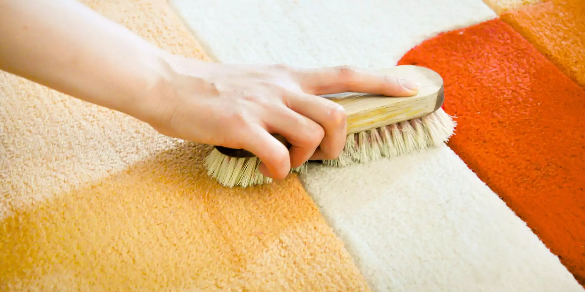 10 простых советов по очистке дома от шерсти животных