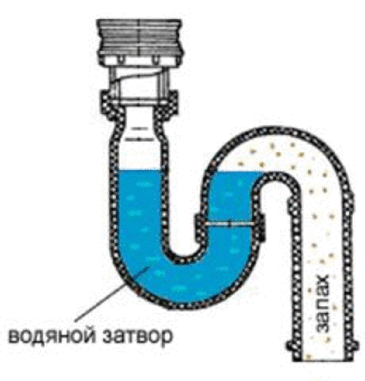 Гидрозатвор для канализации: виды, принцип работы и правила установки