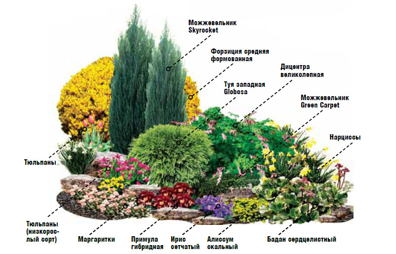 Декоративный огород — фото, применение в ландшафтном дизайне, идеи оформления