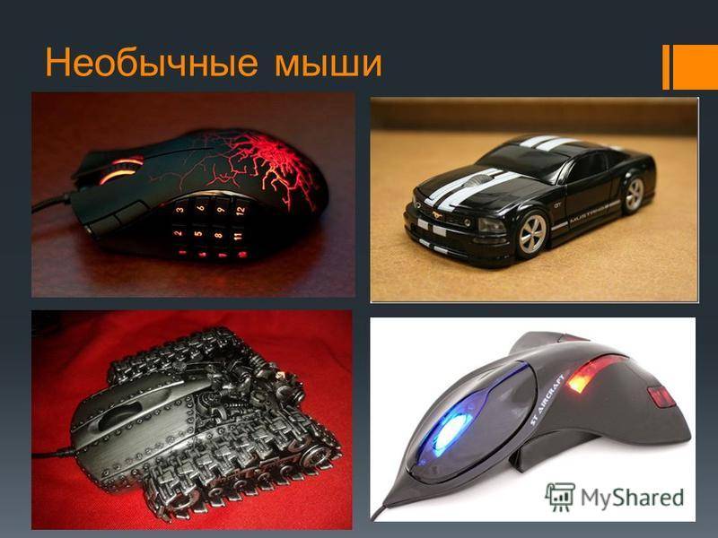 Самая дорогая мышка для компьютера: рейтинг :: businessman.ru