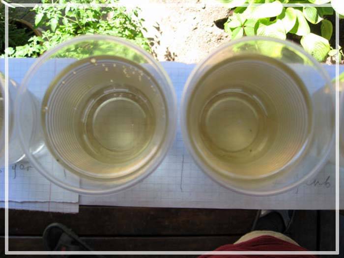 Почему вода из скважины желтеет после нескольких часов