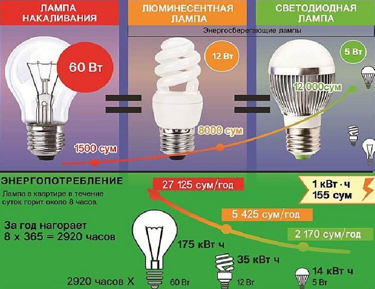 Куда сдать лампочки: энергосберегающие, галогеновые, светодиодные, люминесцентные, лампы накаливания на утилизацию, можно ли выкидывать в мусорку, причины особого обращения
