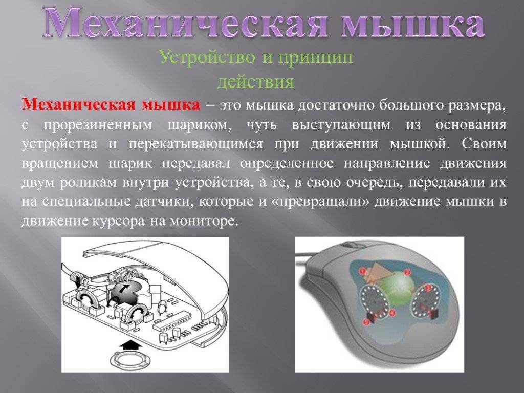 Как создать каталог или папку на компьютере. как создать папку с помощью клавиатуры