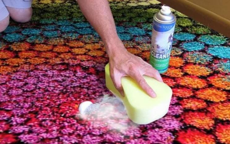 Как избавиться от запаха кошачьей мочи на ковре: самые эффективные подручные средства, народные методы и профессиональная химия