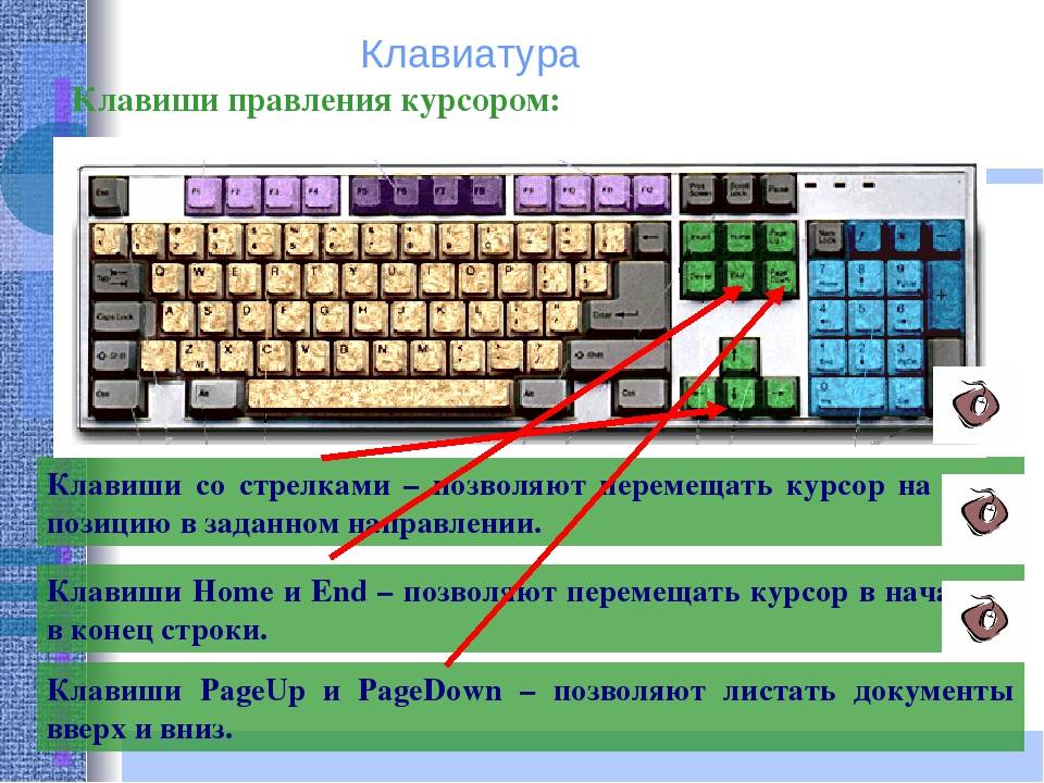 Какая клавиша используется для поиска объектов. Ввод на клавиатуре компьютера. Клавиши на клавиатуре. Клавиатура кнопки. Управление клавишами клавиатуры.