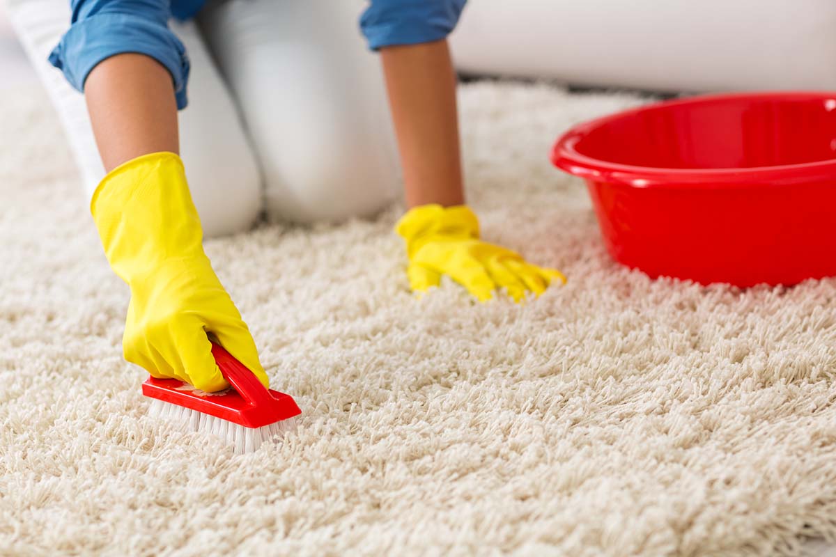 Чистка ковров в домашних условиях: средство для сухой и влажной чистки, чем чистить самостоятельно, как почистить дома, фото и видео