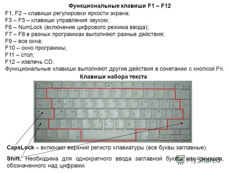 Ноутбук не видит клавиатуру - что делать, варианты решения проблемы