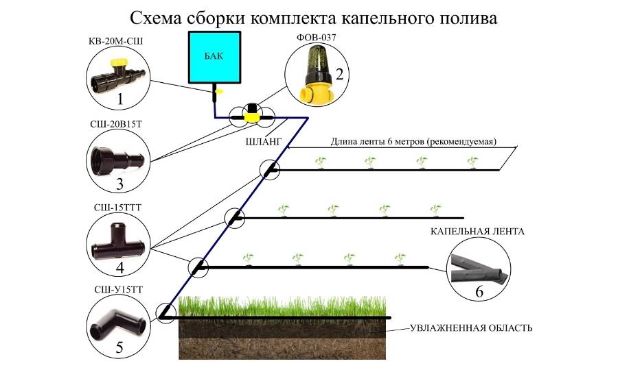 Схема капельного полива в теплице своими руками