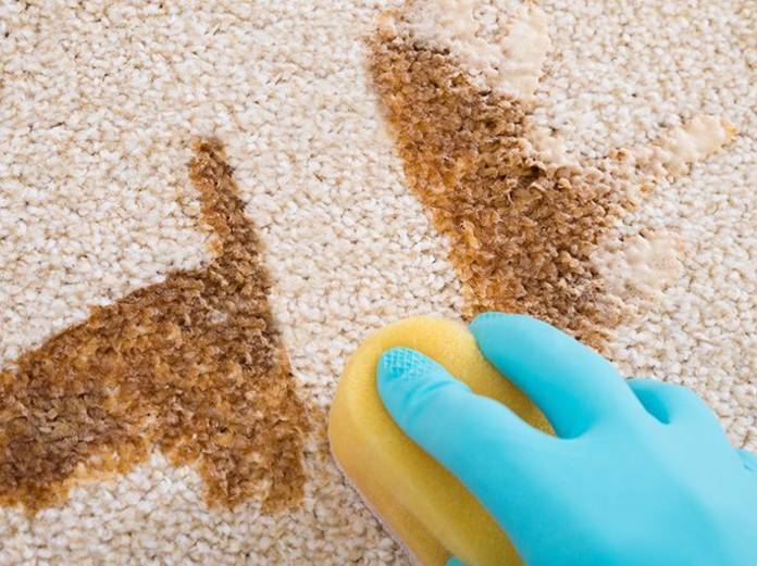 Расскажем о всех методах чистки и стирки ковров: какие средства использовать, как правильно высушить, как избавиться от пятен и неприятного запаха