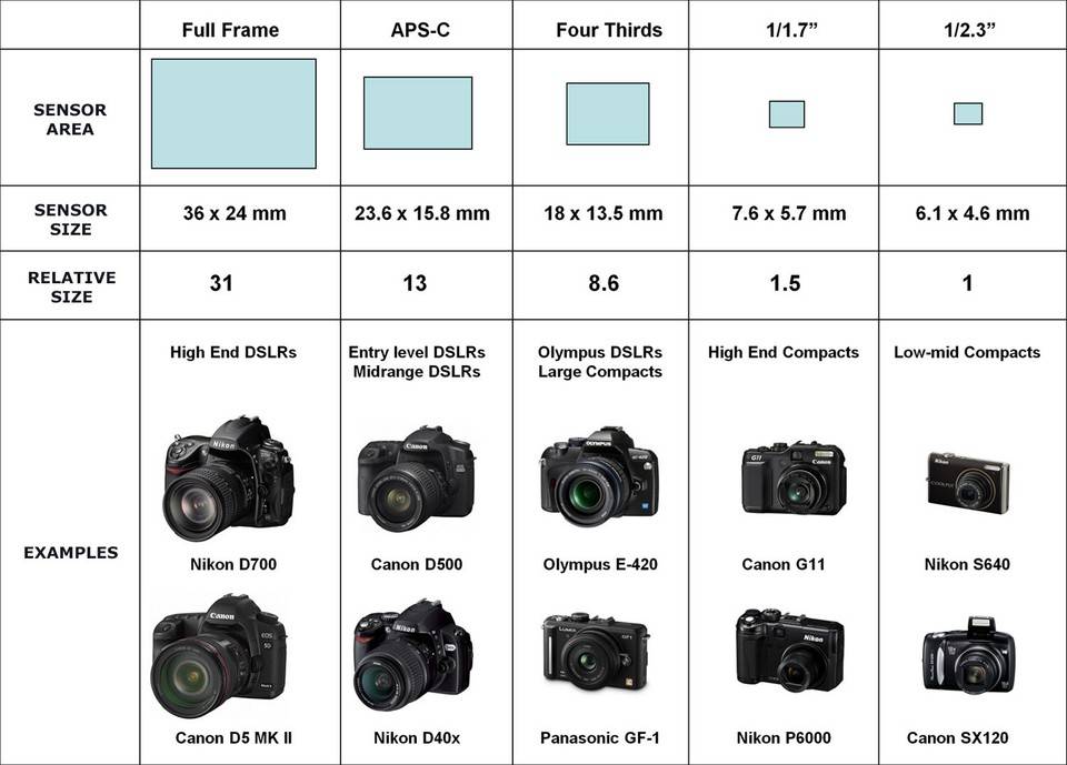 Какая матрица для фотоаппарата лучше: как выбрать