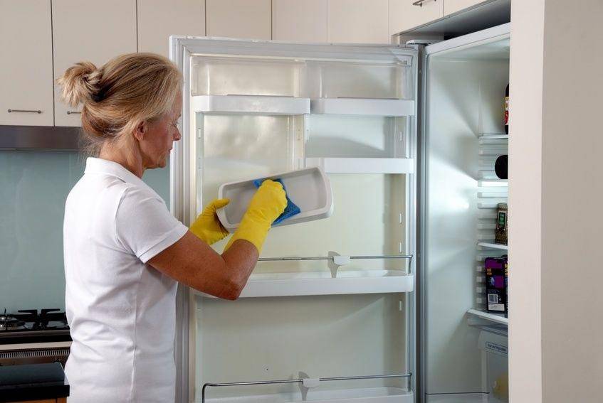 Как и чем можно помыть холодильник от различных загрязнений