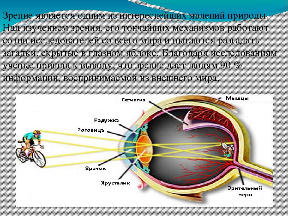 Влияние компьютера на зрение - clean view clinic
