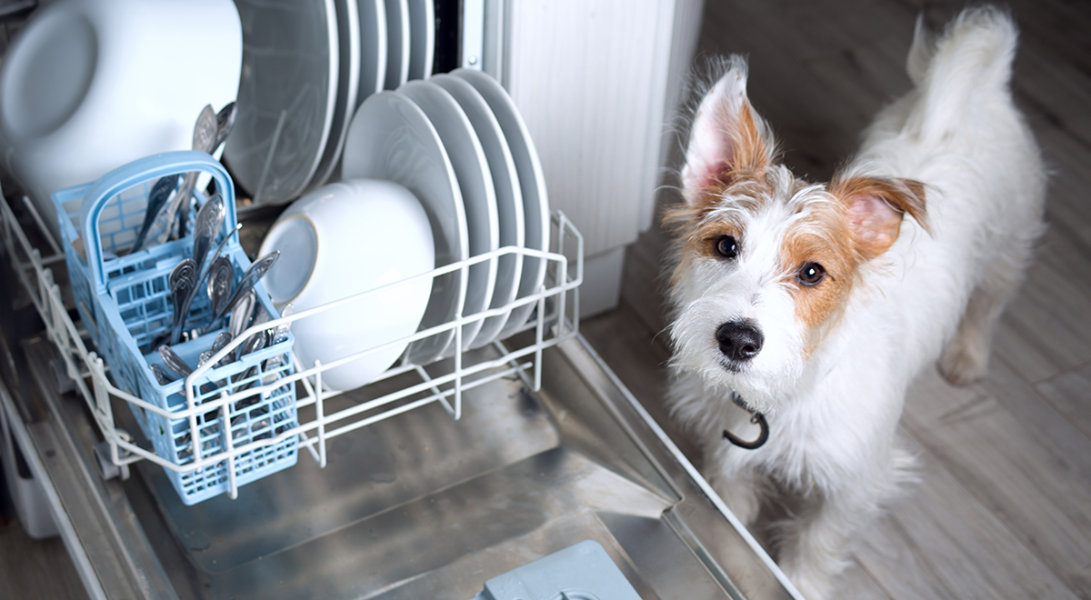 10 вещей, которые лучше не мыть в посудомоечной машине – стоп-лист хорошей домохозяйки
