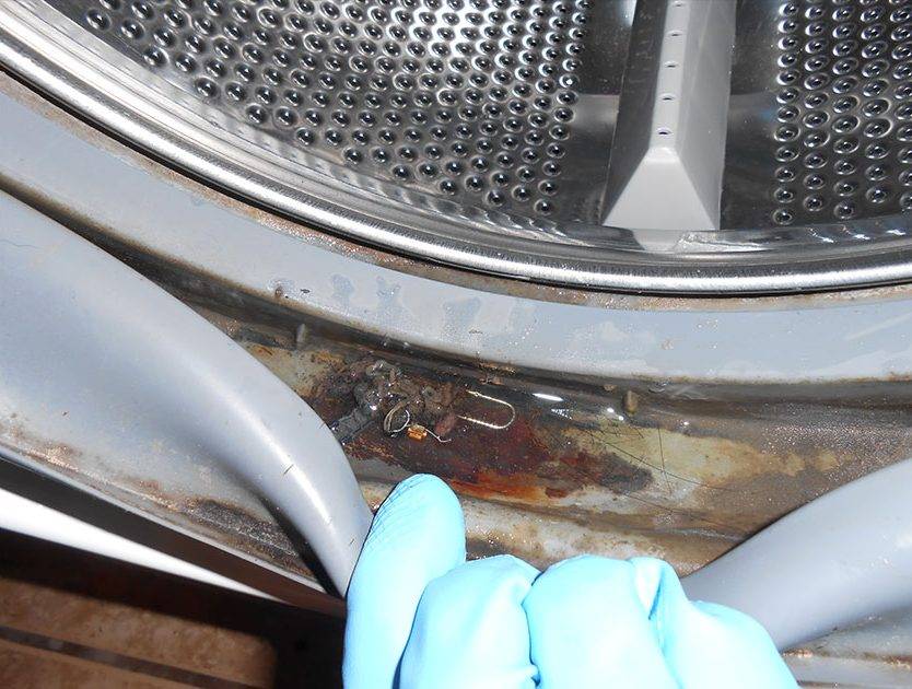 Плесень в стиральной машине - как избавиться